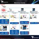 The Perpetuity Adata Flash Memory MSDHC, SDHC